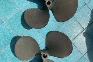 Eliche Basilio in bronzo 570X830