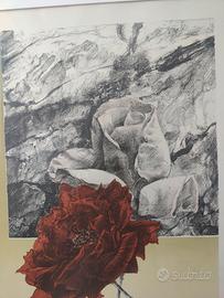 per San valentino regala una grande rosa