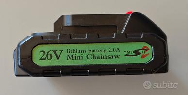 2 BATTERIE MINI ELETTROSEGA ECC