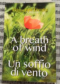 Un soffio di vento 🌬️🍂 A breath of wind
