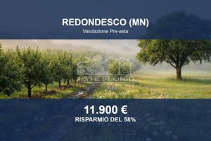 Immobile in asta di 4310 m² a Redondesco