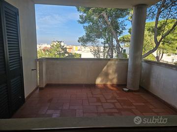 Bilocale nuovo ammobiliato