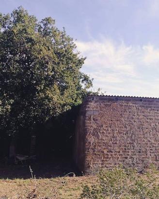 Terreno di 900 m² a Monte Romano