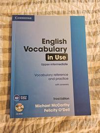 libro vocaboli inglese B2