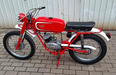 Moto Testi Minicross 50cc