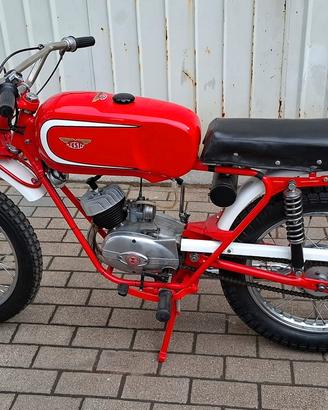 Moto Testi Minicross 50cc