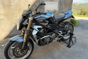 MV  Agusta Gladio 750