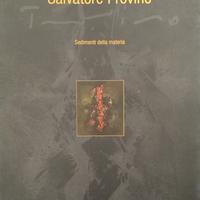 Salvatore Provino - Sedimenti della Materia