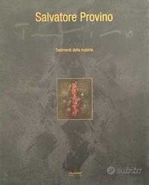 Salvatore Provino - Sedimenti della Materia