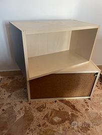 Cubotti