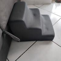 scaletta per cagnolini 