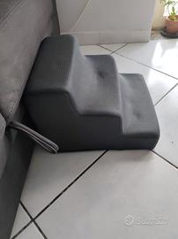 scaletta per cagnolini 