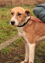 YURI infinita dolcezza