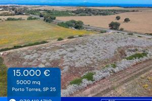 Terreno agricolo a due passi dal mare