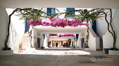 Alimini 1 villa 8 posti 27/6 11/7