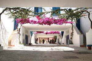 Alimini 1 villa 8 posti 27/6 11/7