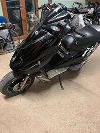 Malauguti phantom f12