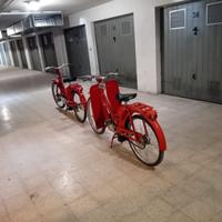 Lambrettino