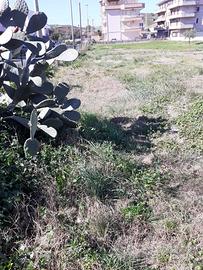 Terreno edificabile Crotone