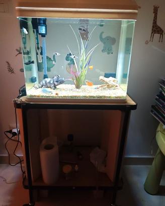 Acquario 