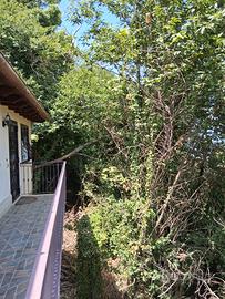 Appartamento bilocale 470 euro monte compatri
