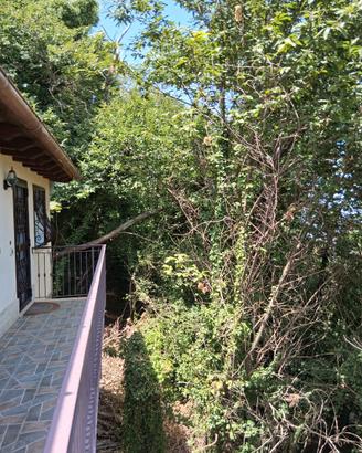 Appartamento bilocale 470 euro monte compatri