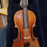 Viola