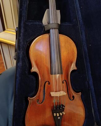 Viola