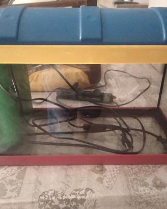 piccolo acquario
