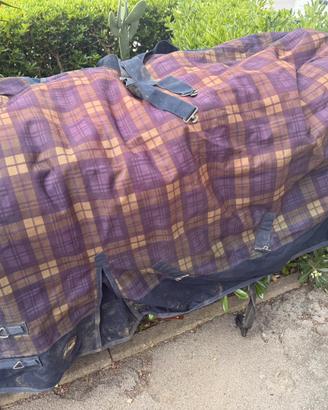 Coperta invernale per pony