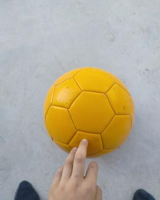 pallone da calcio 