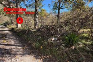 Terreno di 7671 m² a Cicciano