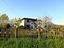 Immagine 21