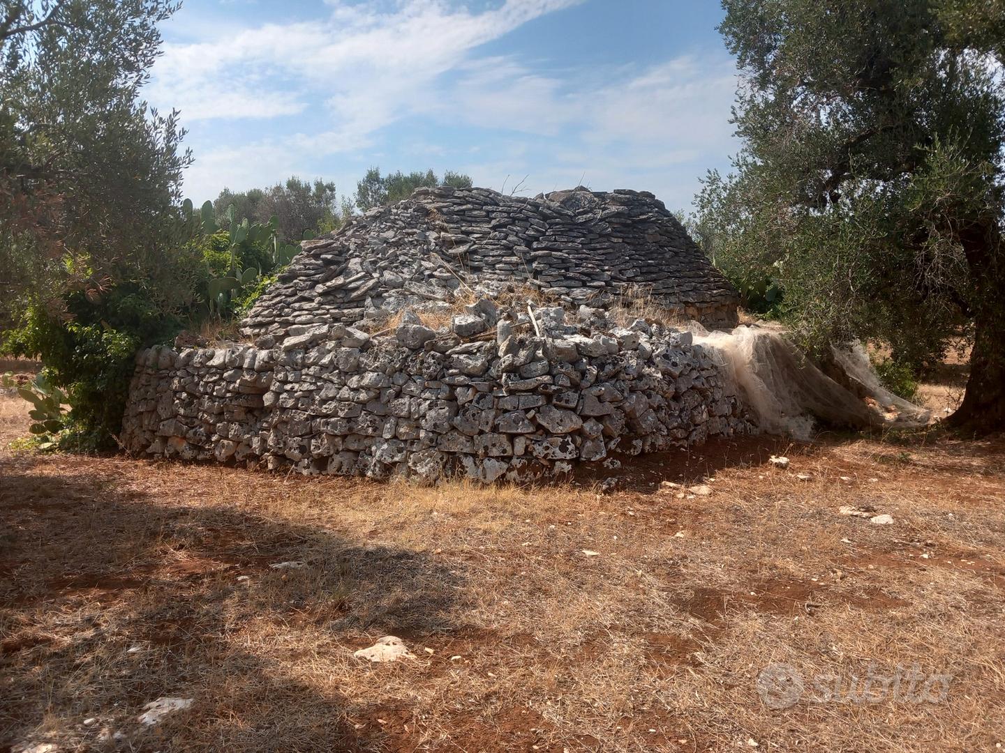 Vendita di terreno Ostuni in contrada Lamatroccola - Vista 3
