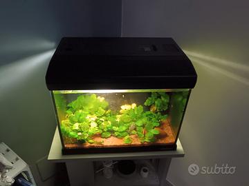 ACQUARIO MIRABELLO NEWA 30 LT