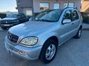 mercedes-benz-ml-270-turbodiesel-cat-cdi