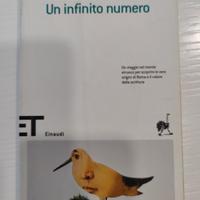 Un infinito numero 