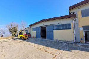 Capannone/Magazzino MQ 520 - Euro 1.100/mese