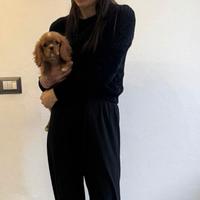 Cavalier King Charles Spaniel Ruby taglia piccola