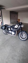 Triumph Boneville t100
