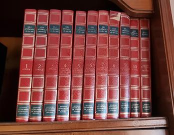 Gli animali e la loro vita. 