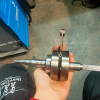 Albero Top Spalle Piene 