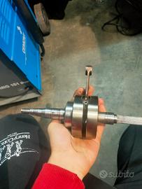 Albero Top Spalle Piene 