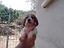 Immagine 3