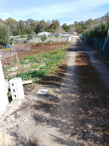 Terreno agricolo vicino al mare