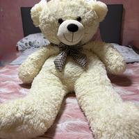 Orso teddy mai usato