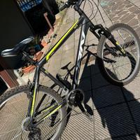 Mountain Bike Carnelli