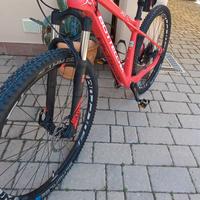bicicletta mtb