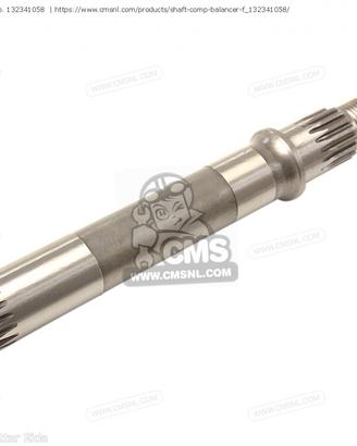 Albero COMP Bilanciatore F Kawasaki KL600 13234105