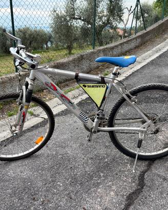 mountain bike 26 pollici ammortizzata